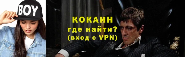 индика Заволжье
