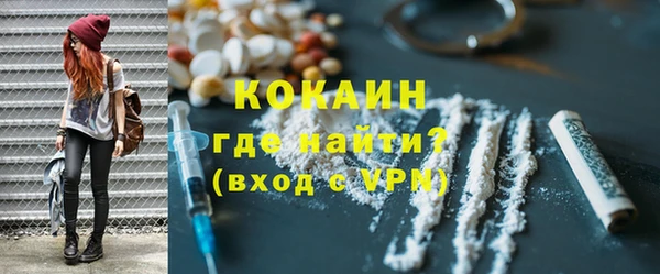 PSILOCYBIN Заводоуковск