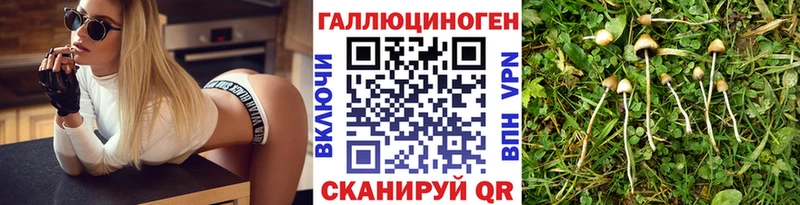 kraken   где можно купить   Тихвин  Галлюциногенные грибы Cubensis 